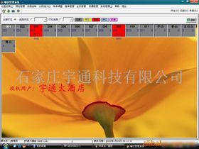 網絡技術開發 連接未來的數字脈絡